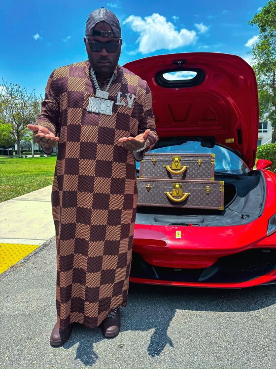 KING LOUIS CRYSTAL BROWN FULL LENGTH - Image 2